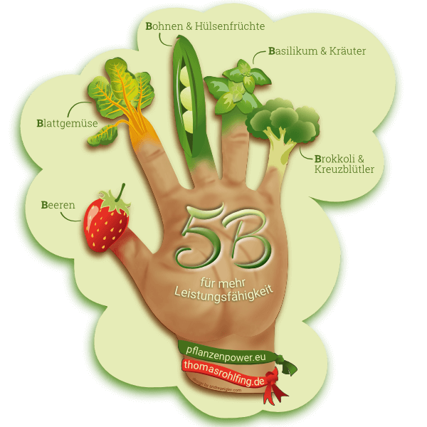 5-wichtige-bestandteile-in-der-ernaehrung-fuer-eine-bessere-gesundheit-und-mehr-energie-vegan-essen-infografik