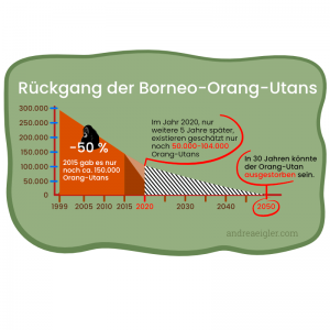 orang-utans-sterben-aus-rueckgang-borneo-orang-utan-2050-vermutlich-ausgestorben-roter-waldmensch