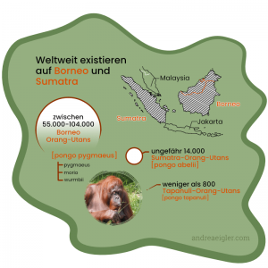 orang-utans-leben-nur-auf-borneo-und-sumatra-sterben-aus-roter-waldmensch-regenwald-palmoel